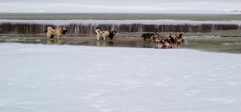 Karas river flooding on its ice. Amund Peder eventually dragged the hesitant dogs across, flooding his boots in the process.