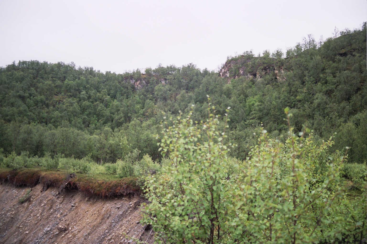 Looking towards the confluence area from top of the quarry