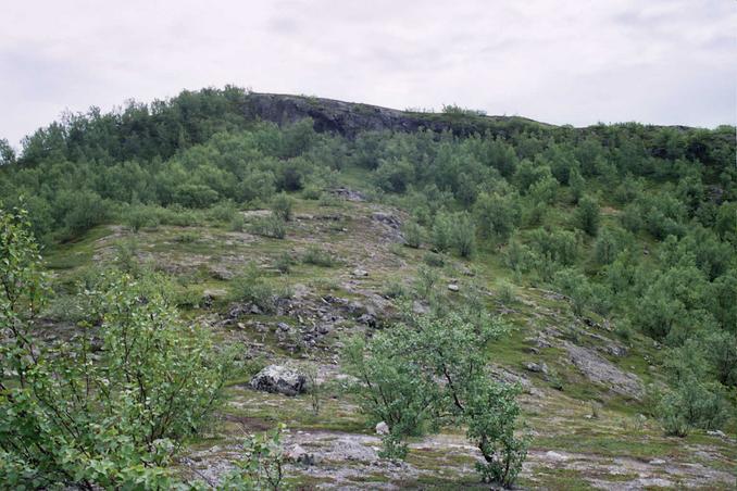 A view west from the confluence area - uphill