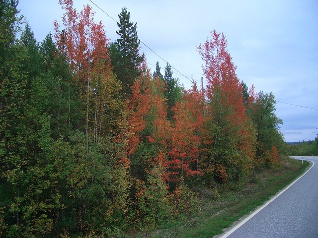 Autumn approaching