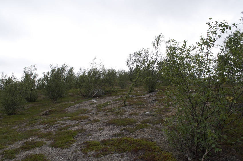 View South (towards a lake and waterfall)