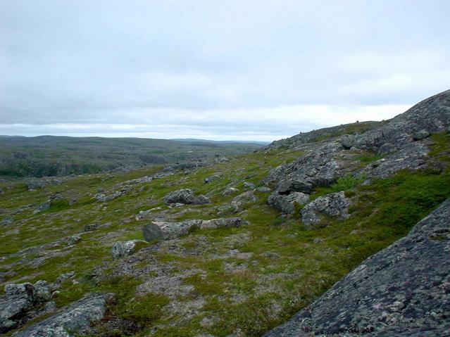 General Area / Baumloses Fjellgebiet