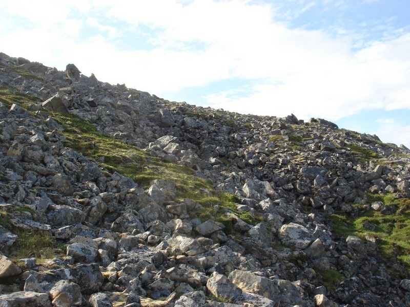 South view - Richtung Süden