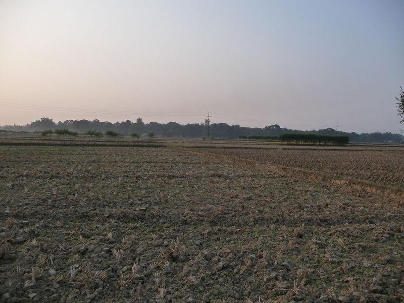 From the confluence looking West