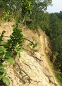 #10: A steep descent