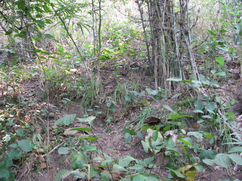 View of confluence point from below