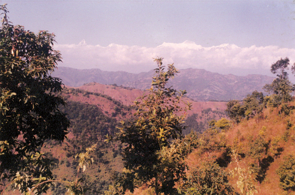 The majestic Annapurna Range