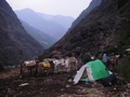 #5: Our campsite in the mule pasture at Khaulighat.