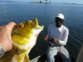 #6: a tucunari caught by our  guide Fernando