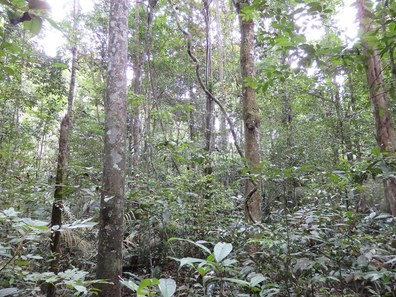 The Confluence from 15 m distance