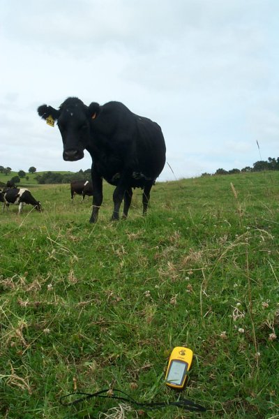 An interested bystander verifies the results