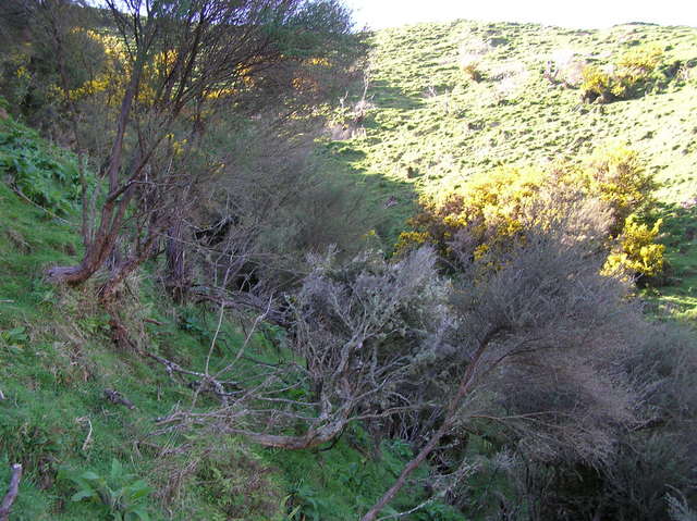 Steep site of 38 South 175 East.