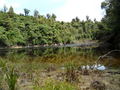 #6: Lunch at Lake Hiwiroa