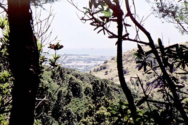 The only hint of a view. Looking towards Whakatane and some offshore islands