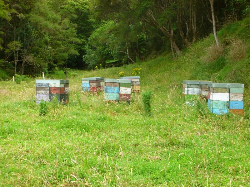 Bee houses