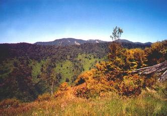 #1: View west across confluence site (exact site is next to log in foreground).