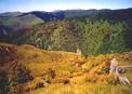 #4: View west from confluence across valley to Raukumara Forest Park.