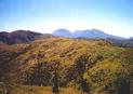 #6: View of Mt Hikurangi taken north-east from ridgeline.