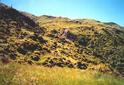 #7: View east from confluence up towards ridgeline.