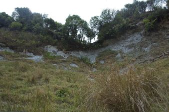 #1: View North (up the steep hillside; you can see why the point is shaded on Google Earth)