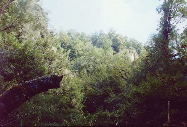 View across the magic little valley west of the confluence