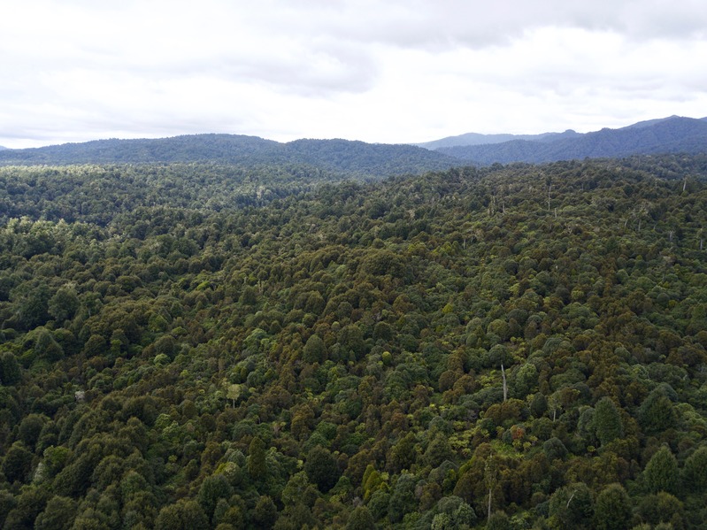 View East from about 100 m above the point