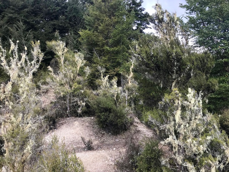 View South (from the top of the bank, about 55 metres away from the point)