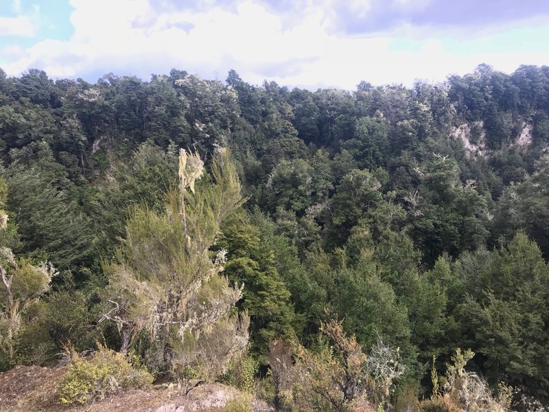 View West (from the top of the bank, about 55 metres away from the point)