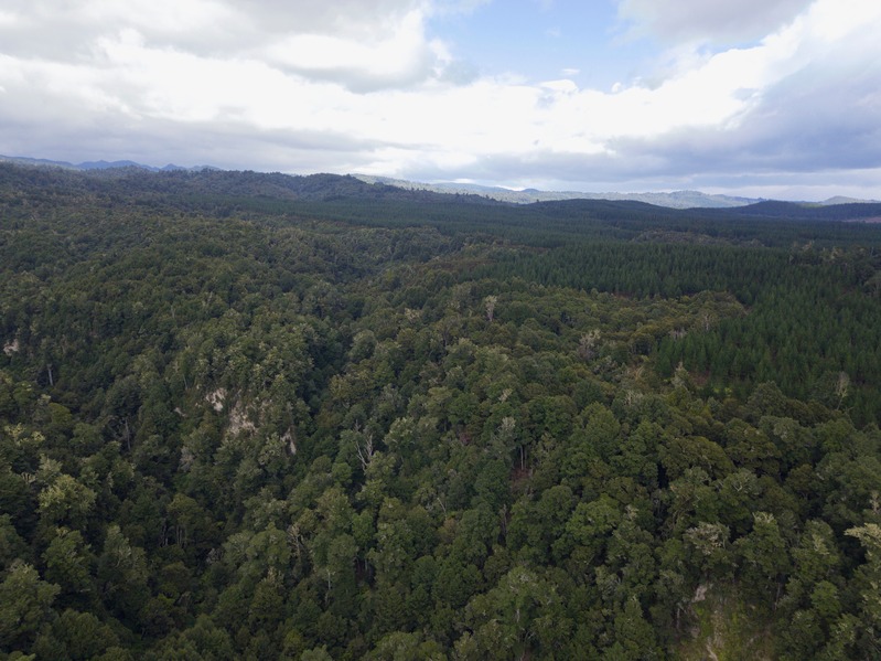 View South from about 100 m above the point