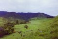 #4: Looking east you can see the Ruahine Range, a 100km long Forest Park loved by hunters.