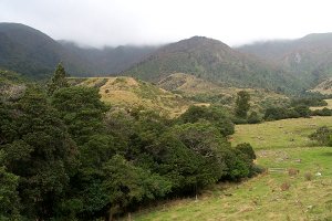 #1: East towards the Ruahine Ranges