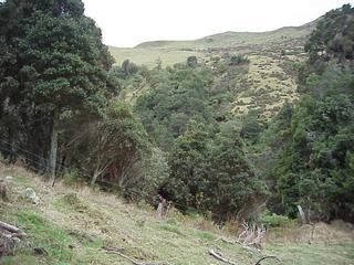 #1: View to the north from the confluence site.