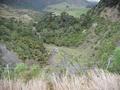 #8: Horopito Stream and gully that we traversed en route to the confluence.