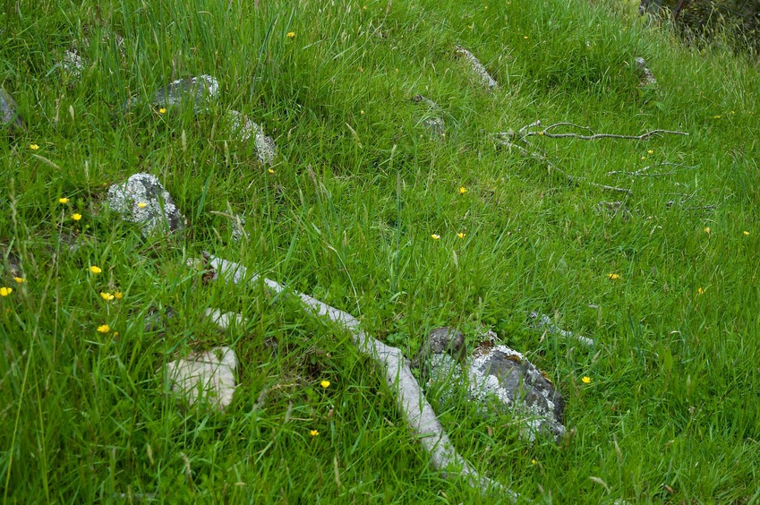 The confluence point lies on a steep, grassy slope