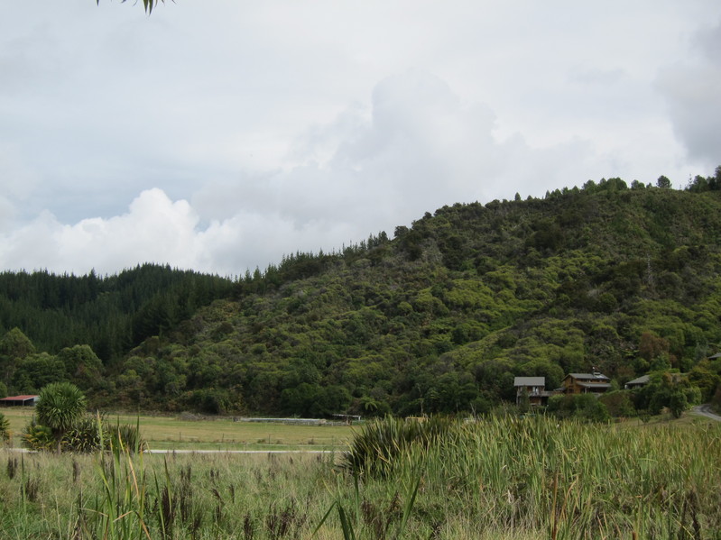 View looking southwest towards the confluence point in the bush