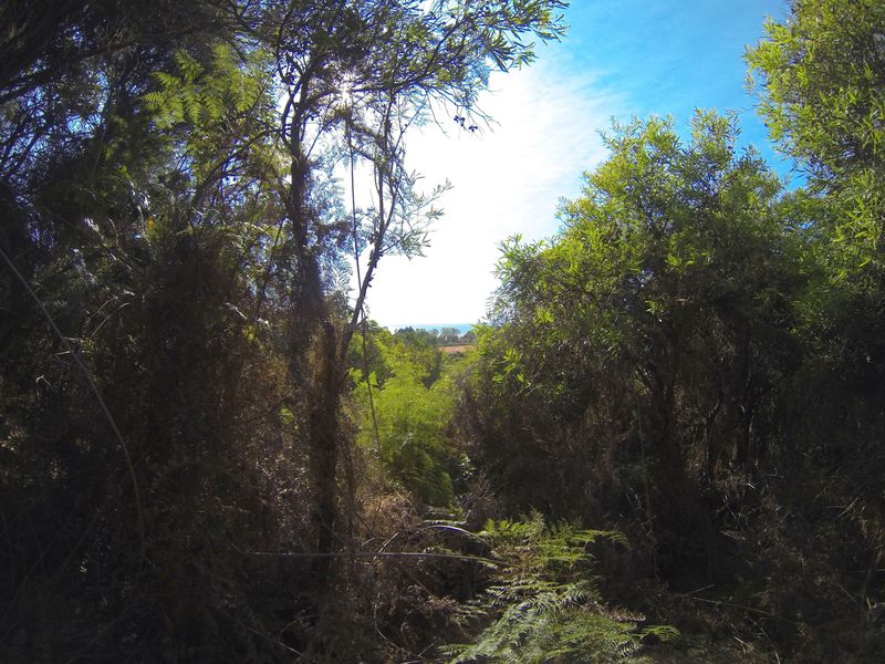 View looking East beyond the confluence, facing the morning sun, and with Sandy Bay beach 1 km distant.