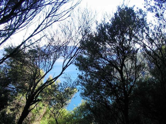 Looking north from the confluence