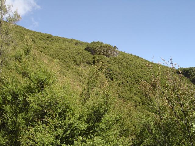 South view from the Confluence