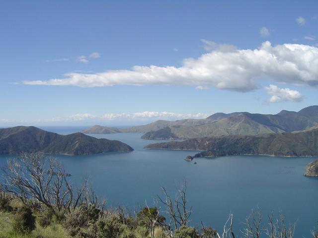 East view - from hilltop close to Confluence