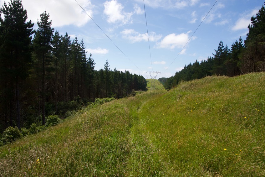 View North from the electricity tower, 50 m from the point