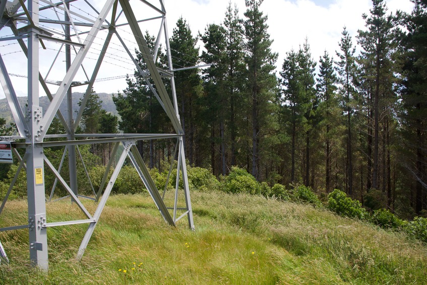 View West from the electricity tower, towards the confluence point 50 m away