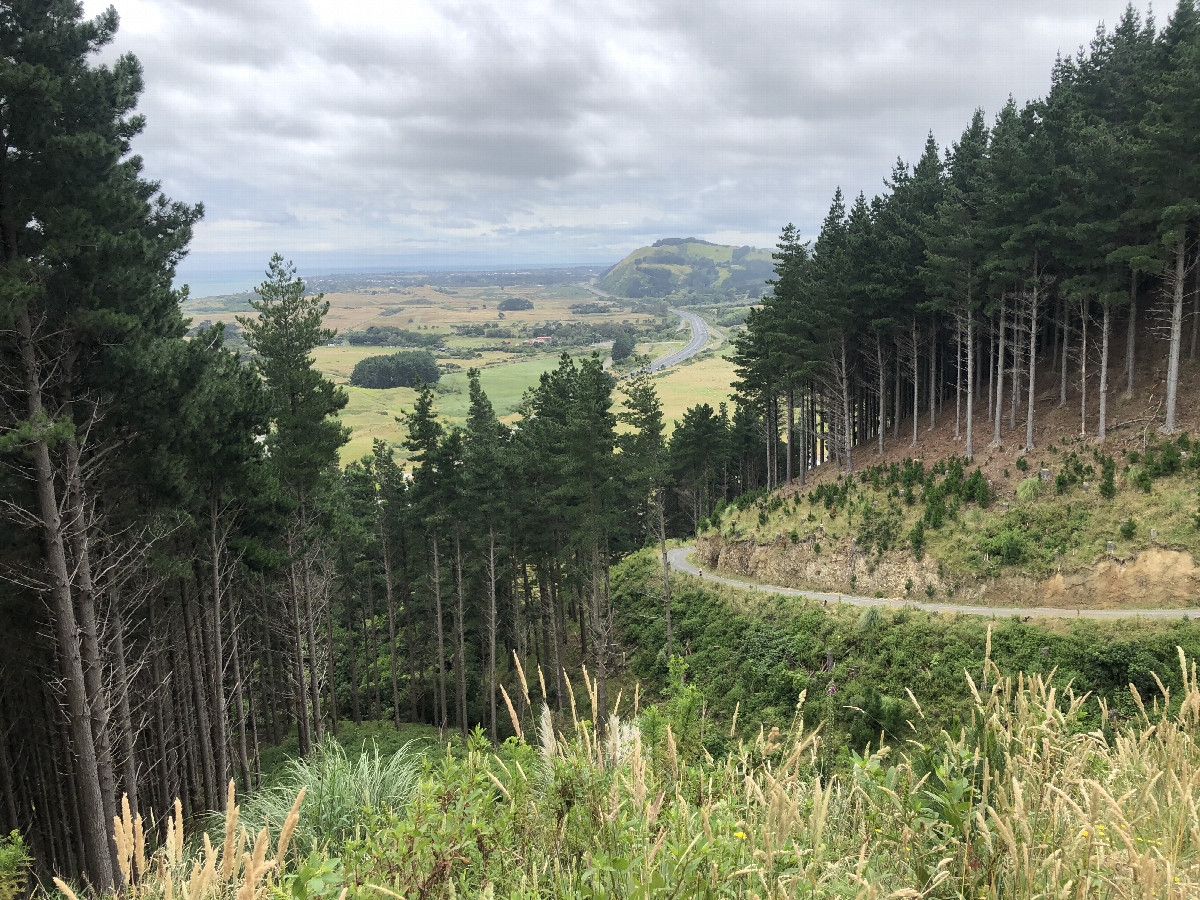 View Half Way into the Hike