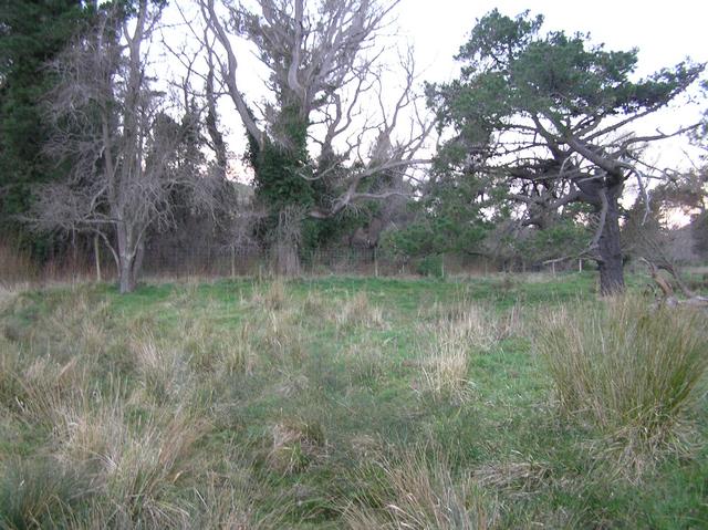 View to the east from the confluence.