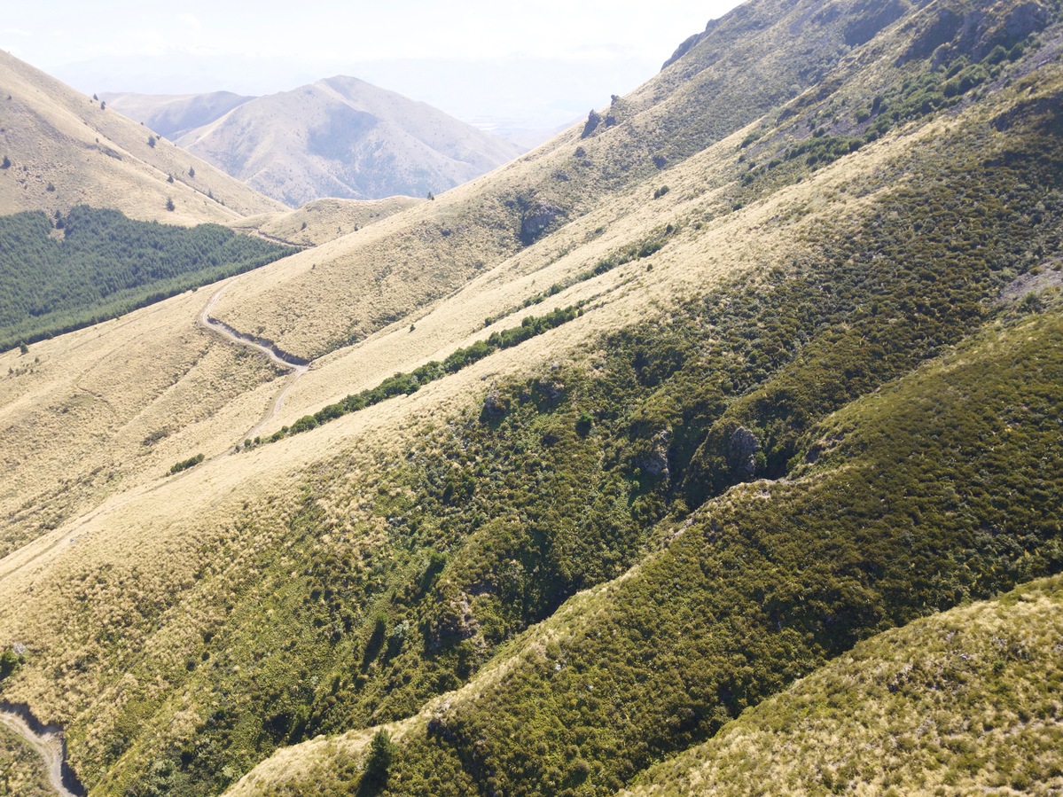 View West, from 120 m above the point