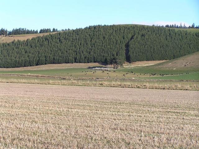 Confluence on the Waitaki River plain, looking south.