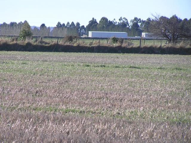 View to the north from the confluence.