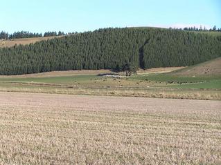 #1: Confluence on the Waitaki River plain, looking south.