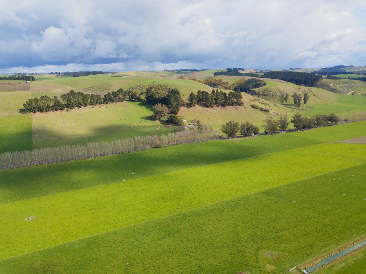 View West, from 120m above the point