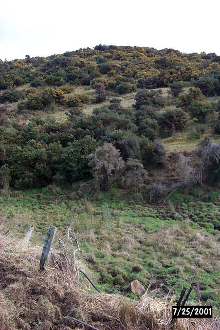 View of the confluence. Its roughly around the bare tree/bush in the center of the picture.