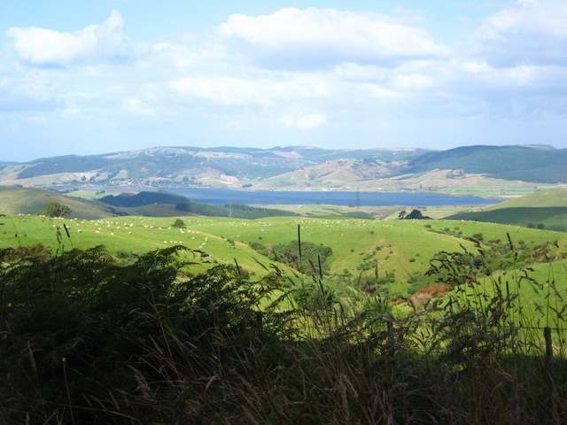 Lake Waihola